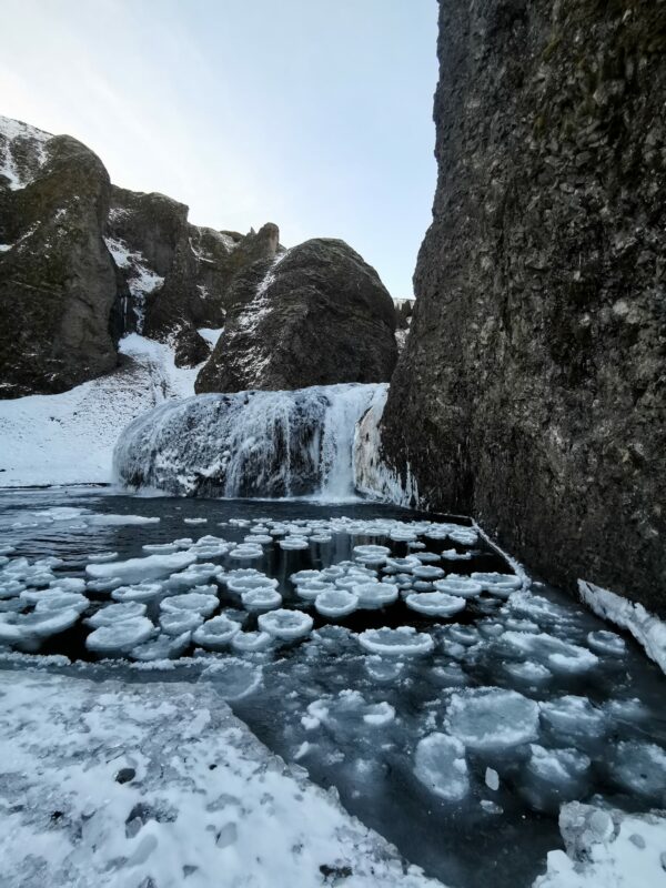 Bougie Les nénuphars de glace – Image 3